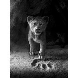 The Lion King (Lvernes Konge) - Super Easy Songbook