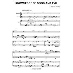 Esperanza Spalding: Chamber Music Society