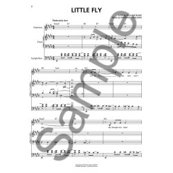 Esperanza Spalding: Chamber Music Society