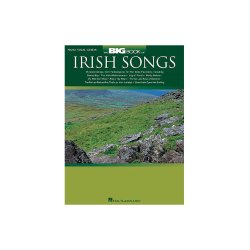The Big Book Of Irish Songs