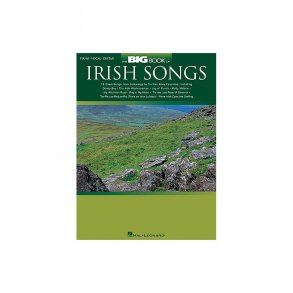 The Big Book Of Irish Songs