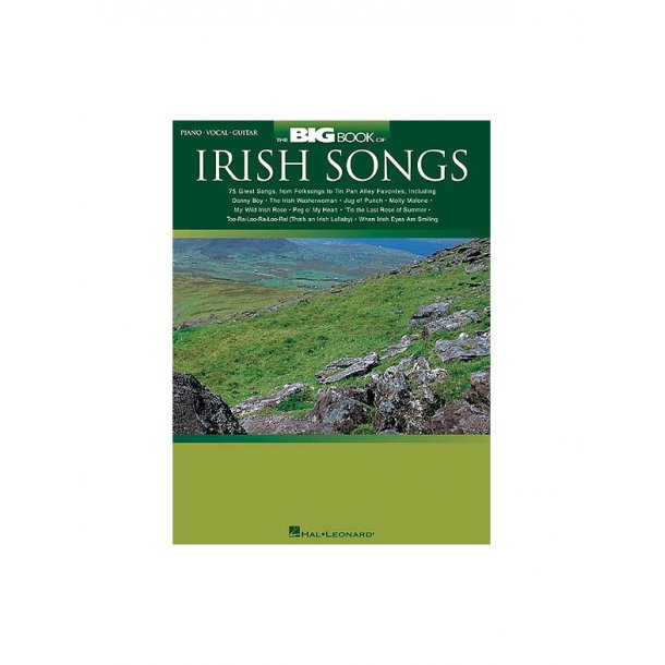 The Big Book Of Irish Songs