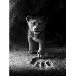 The Lion King (Lvernes Konge) - Piano Solo