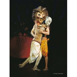 Der K&ouml;nig der L&ouml;wen : Songbuch - Das Broadway-Erfolgsmusical in deutscher Sprache