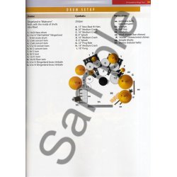 Neil Peart: Taking Center Stage (Book)