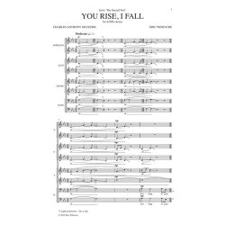 You Rise, I Fall
