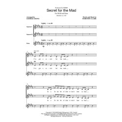 Secret for the Mad : Voices Rising Series