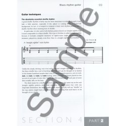 Adam St. James: The Blues Guitar Handbook