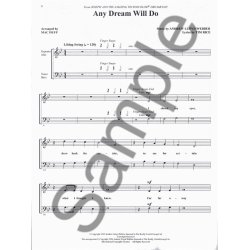 Sing With The Choir Volume 1: Andrew Lloyd Webber (Book And CD)