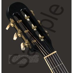 Inventing The American Guitar