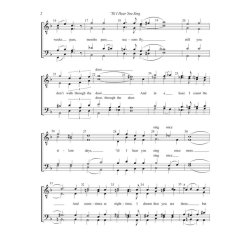 'Til I Hear You Sing : from Love Never Dies