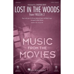 Lost in the Woods : from Frozen 2