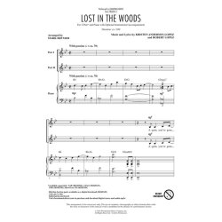 Lost in the Woods : from Frozen 2