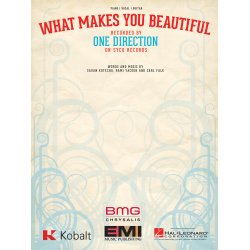 One Direction What Makes Beaut Pvg