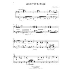 Journey In The Night