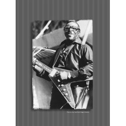 The Very Best of Albert King