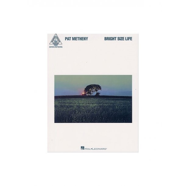 Pat Metheny: Bright Size Life