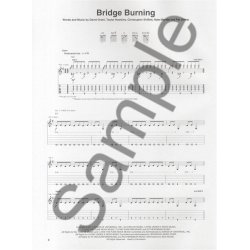 Foo Fighters: Wasting Light