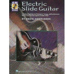 Electric Slide Guitar