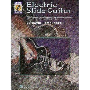 Electric Slide Guitar