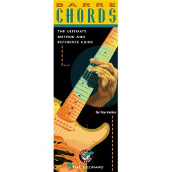 Troy Stetina: Barre Chords