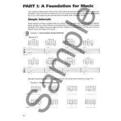 Troy Stetina: Fretboard Mastery