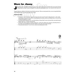 Classic Guitar Styles Of Duke Robillard