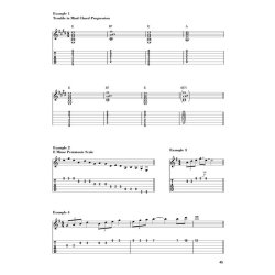 Artie Traum Teaches Essential Blues For Acoustic Guitar