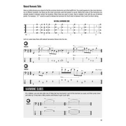 Chris Kringel: A Guide to the Styles and Techniques of Fretless Bass