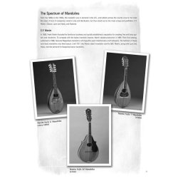 Rich DelGrosso: Mandolin Blues - From Memphis To Maxwell Street