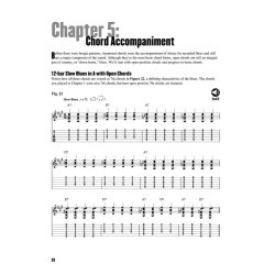 Dave Rubin: Beginning Blues Guitar - A Guide to the Essential Chords, Licks, Techniques & Concepts