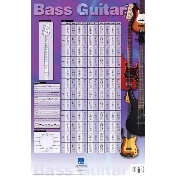 Basguitar plakat 61x91 cm.