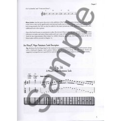 Jazz Guitar Soloing Concepts