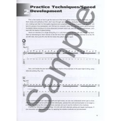 Greg Harrison: Shred Guitar - A Guide To Extreme Rock And Metal Lead Techniques