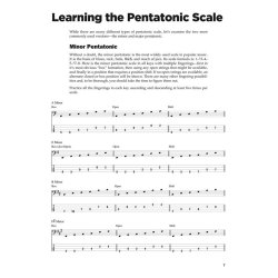 FRIEDLAND ED PENTATONIC SCALES FOR BASS BGTR BK/CD