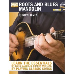 JAMES STEVE ROOTS AND BLUES MANDOLIN TAB BK/CD