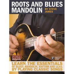JAMES STEVE ROOTS AND BLUES MANDOLIN TAB BK/CD