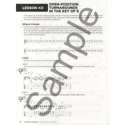 Chad Johnson/John Heussenstamm: 100 Blues Lessons