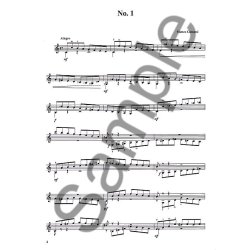 Matteo Carcassi: 25 Melodic And Progressive Studies Op.60