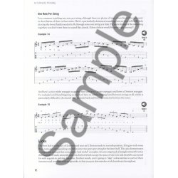 Chad Johnson: Essential Rock Guitar Techniques