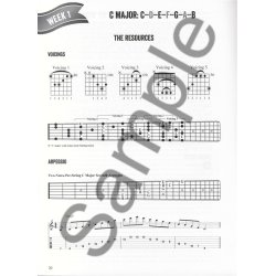 Troy Nelson: Fretboard Freedom