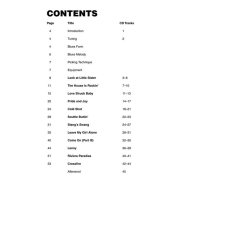 Stevie Ray Vaughan Guitar Signature Licks - 2nd Edition