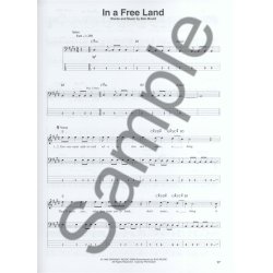 Bass Play-Along Volume 12: Punk Classics