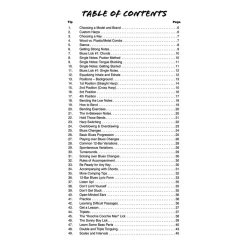 101 Harmonica Tips - Stuff All The Pros Know And Use