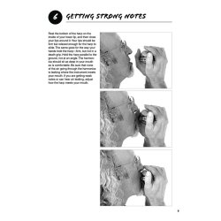 101 Harmonica Tips - Stuff All The Pros Know And Use