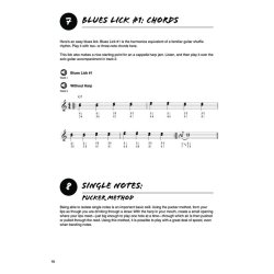 101 Harmonica Tips - Stuff All The Pros Know And Use