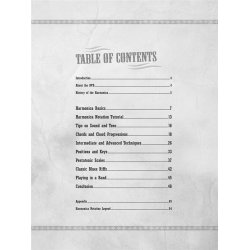 Steve Guyger: Blues Harmonica