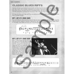 Steve Guyger: Blues Harmonica