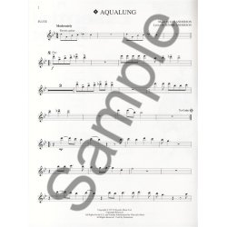 Instrumental Play-Along: Essential Rock (Flute)