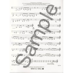 Instrumental Play-Along: Popular Hits - Flute